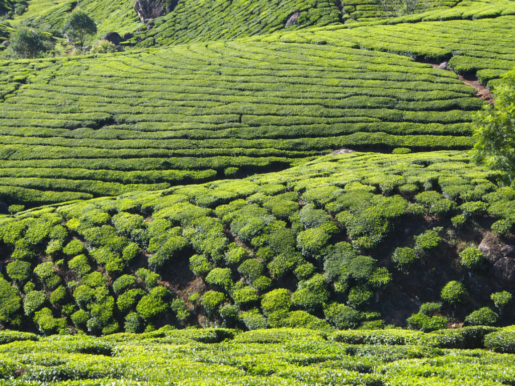 Paysages autour de Munar Paysages autour de Munar